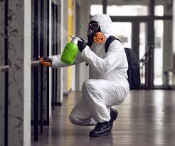 Why You Should Choose Our Mold Remediation Services in Tenaha, TX